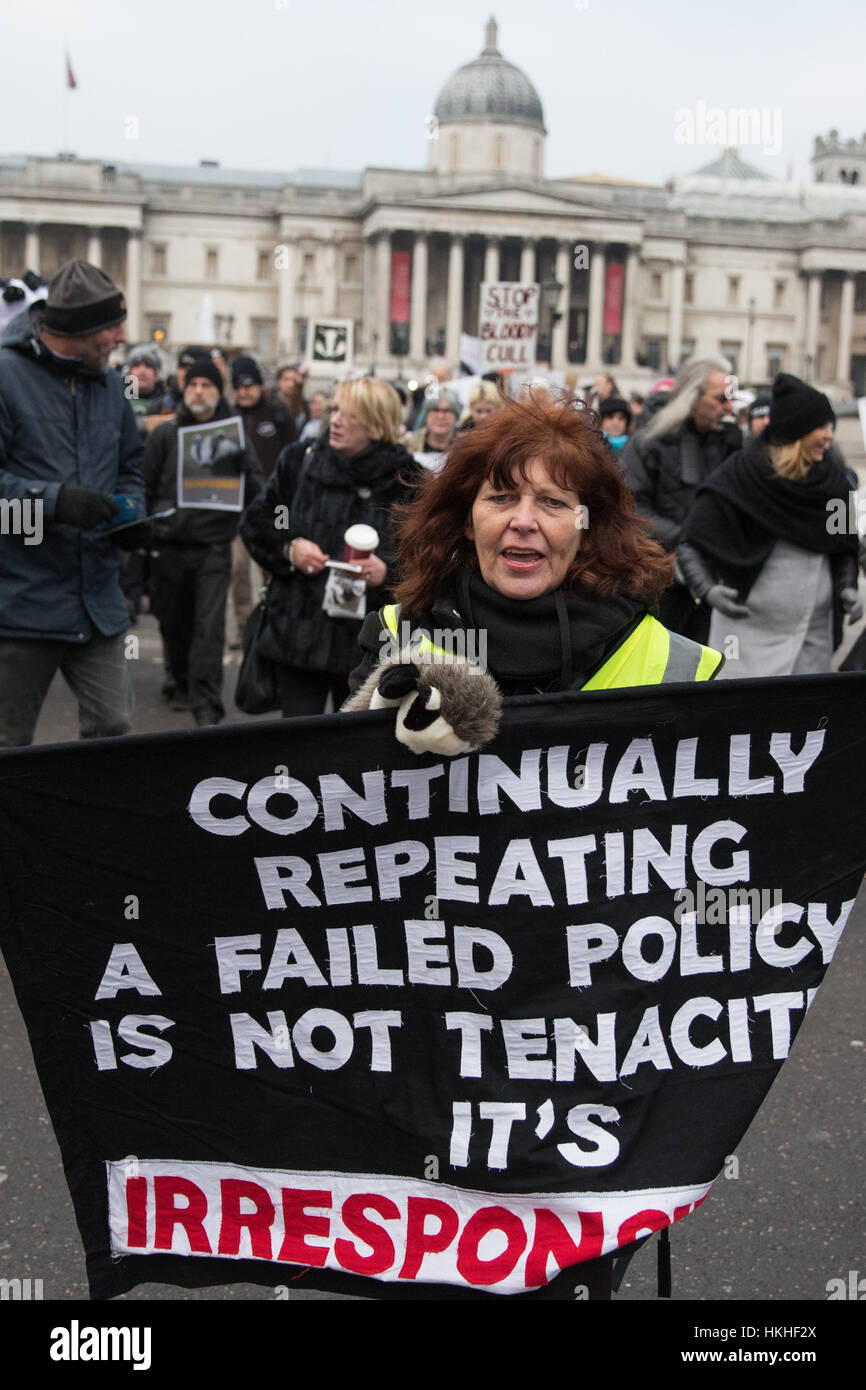 London, UK. 26th January, 2017. Animal rights campaigners march in remembrance of 10,866 badgers killed in the UK during the 2016 season. Stock Photo