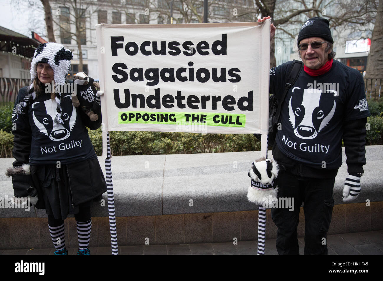 London, UK. 26th January, 2017. Animal rights campaigners march in remembrance of 10,866 badgers killed in the UK during the 2016 season. Stock Photo