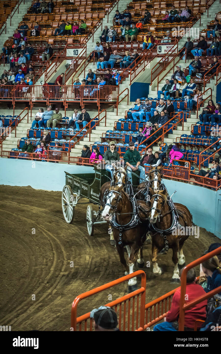 Pennsylvania State Farm Show,, Harrisburg, PA Stock Photo Alamy