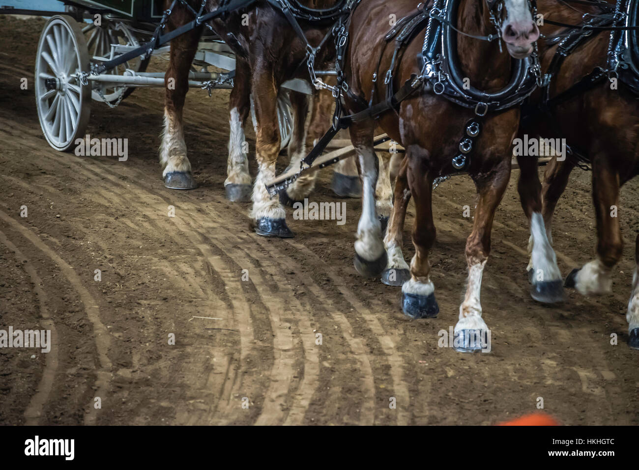 Pennsylvania State Farm Show,, Harrisburg, PA Stock Photo - Alamy