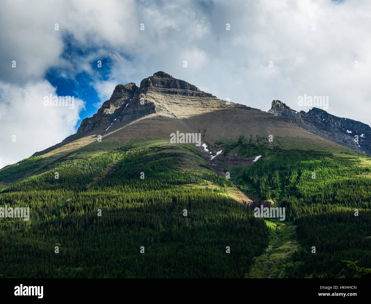 Dense green forest rugged mountain hi-res stock photography and images ...