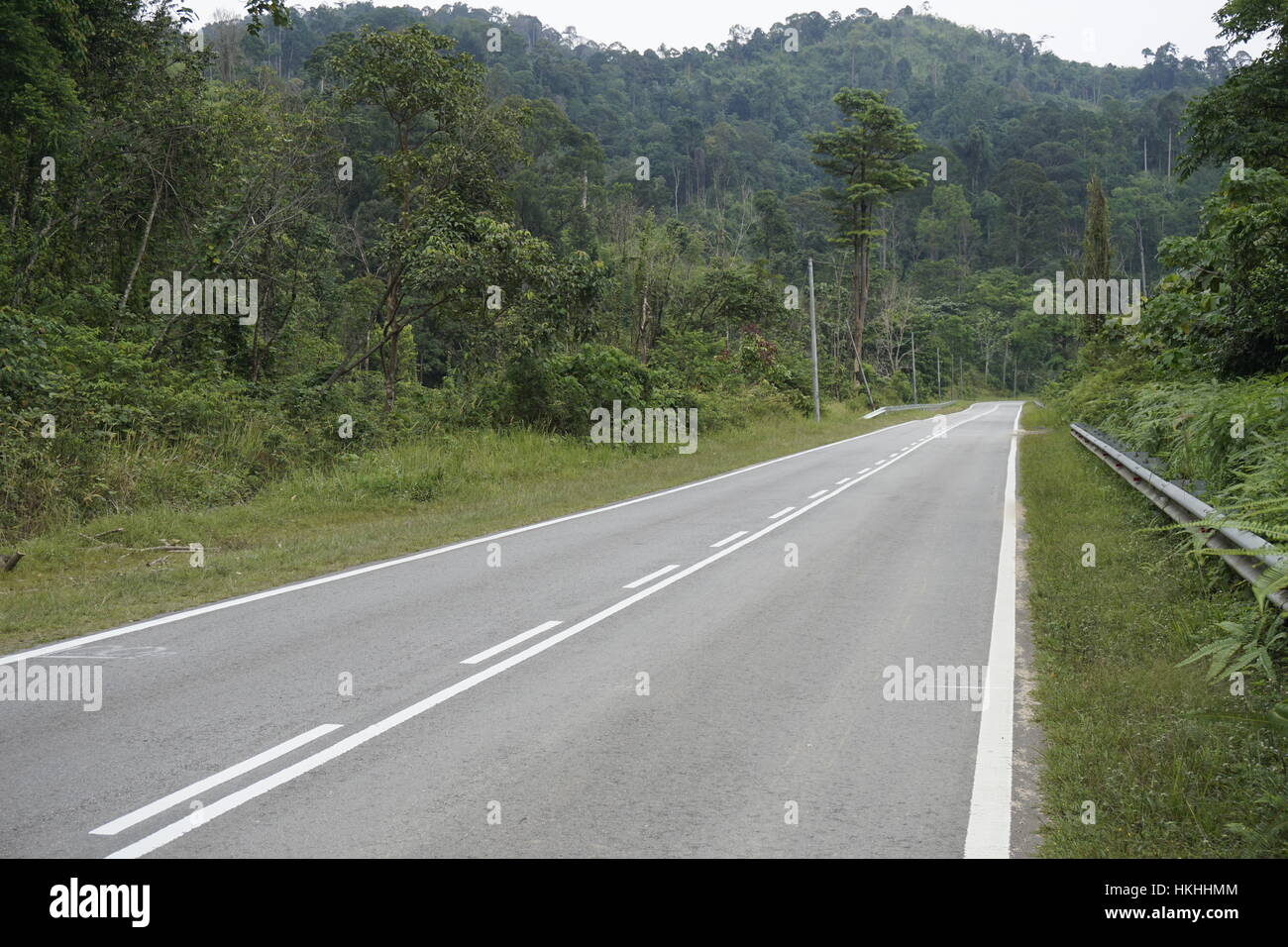 long stretch of empty road in rural area, Malaysia Stock Photo - Alamy