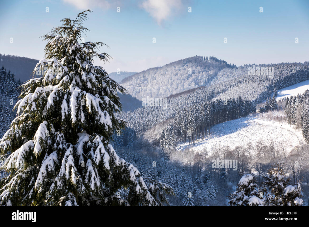 Winter im Sauerland, NRW, bei Nordenau, Hochsauerlandkreis, Stock Photo