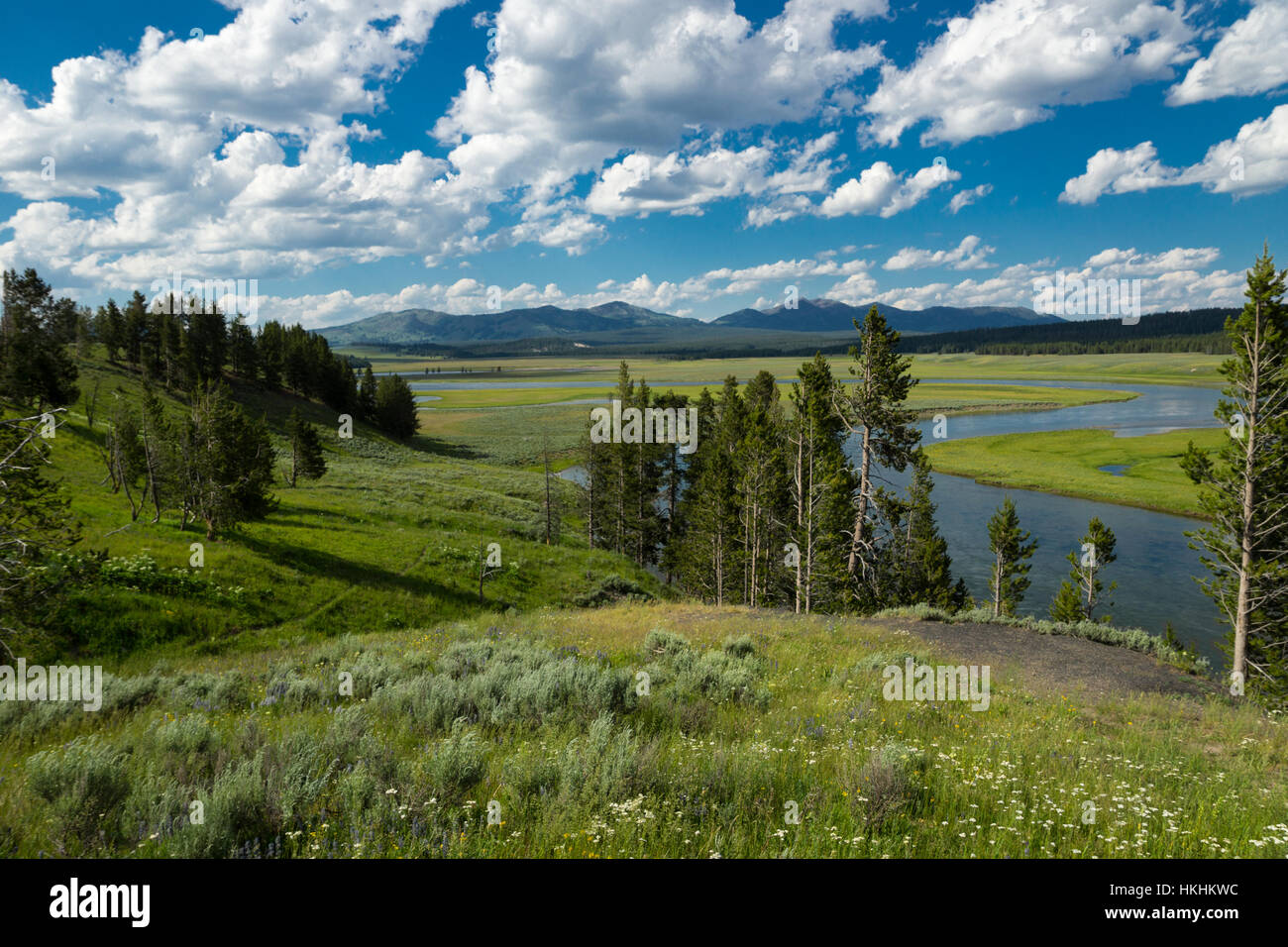 Hayden Valley Yellowstone National Park Wyoming USA Stock Photo Alamy