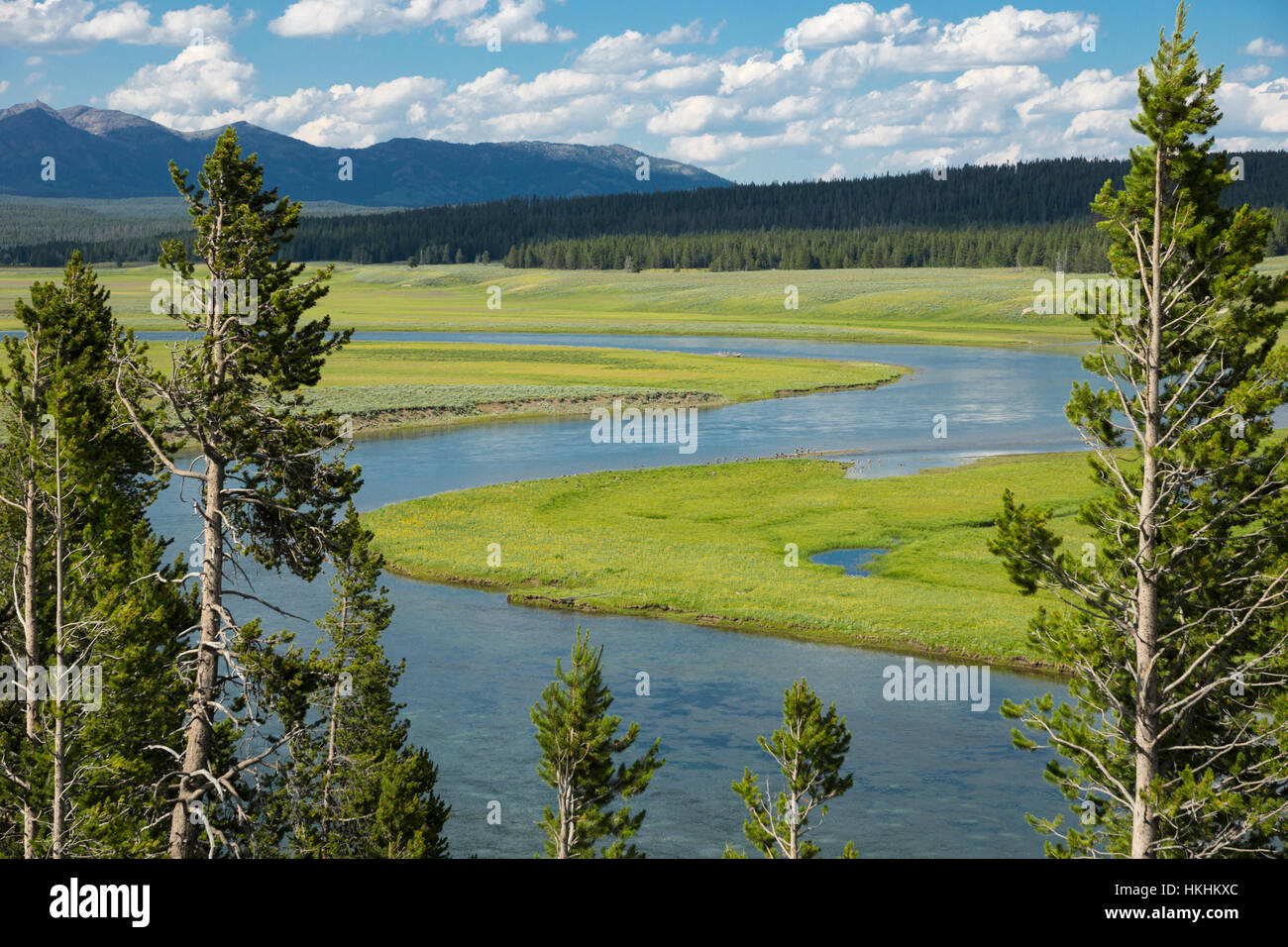 hayden-valley-yellowstone-national-park-wyoming-usa-stock-photo-alamy