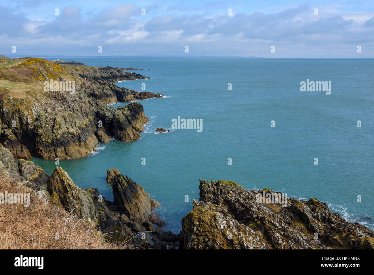 Cliffs along Solway coast near Isle of Whithorn, Wigtonshire, Dumfries & Galloway, Scotland Stock Photo