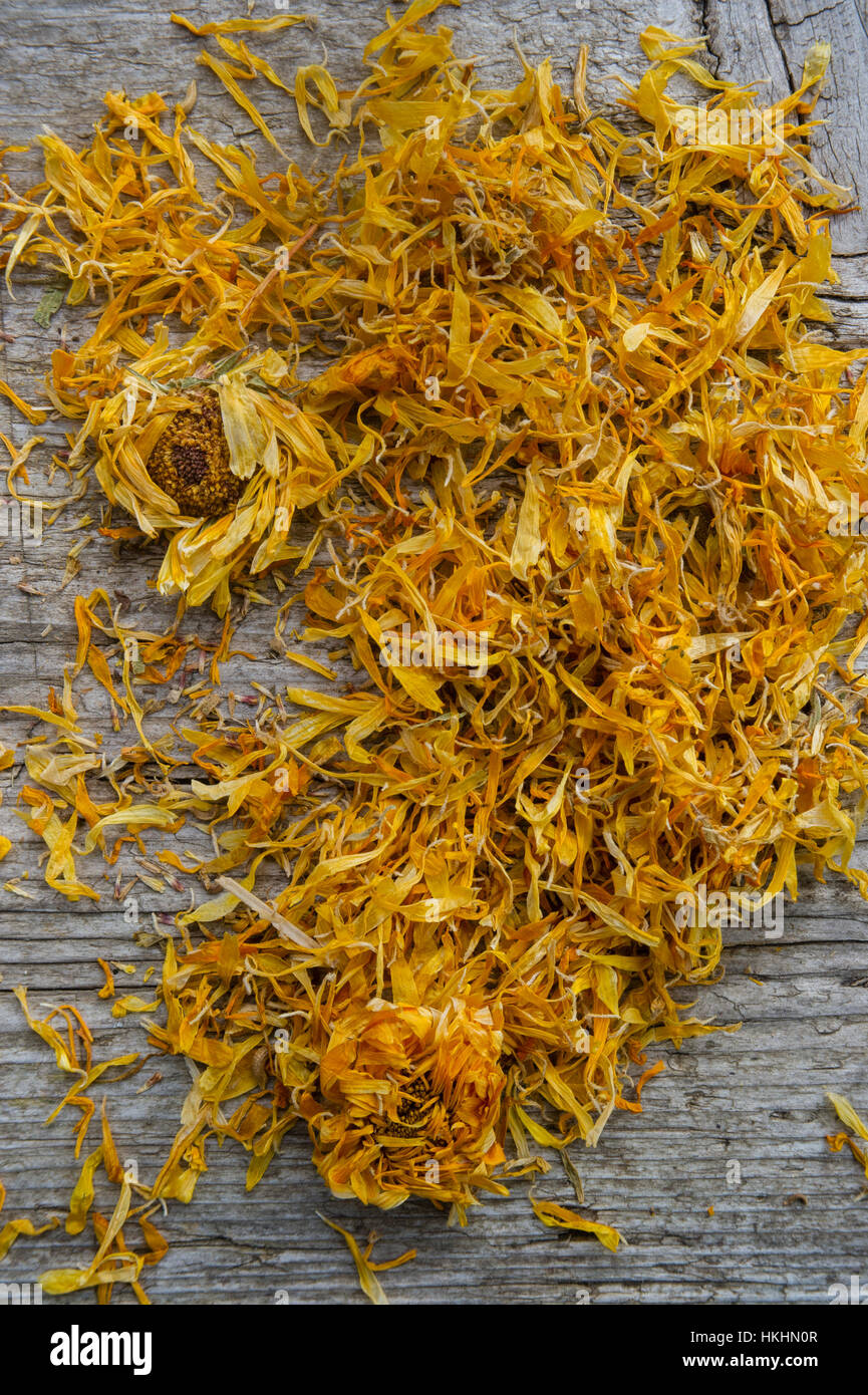 Dried Marigold flowers Calendula officinalis Stock Photo Alamy