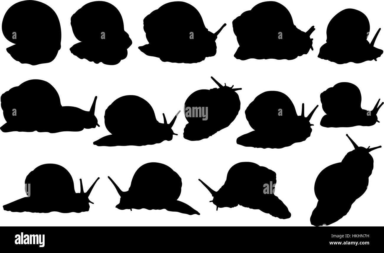 set of snails isolated on white Stock Vector Image & Art - Alamy