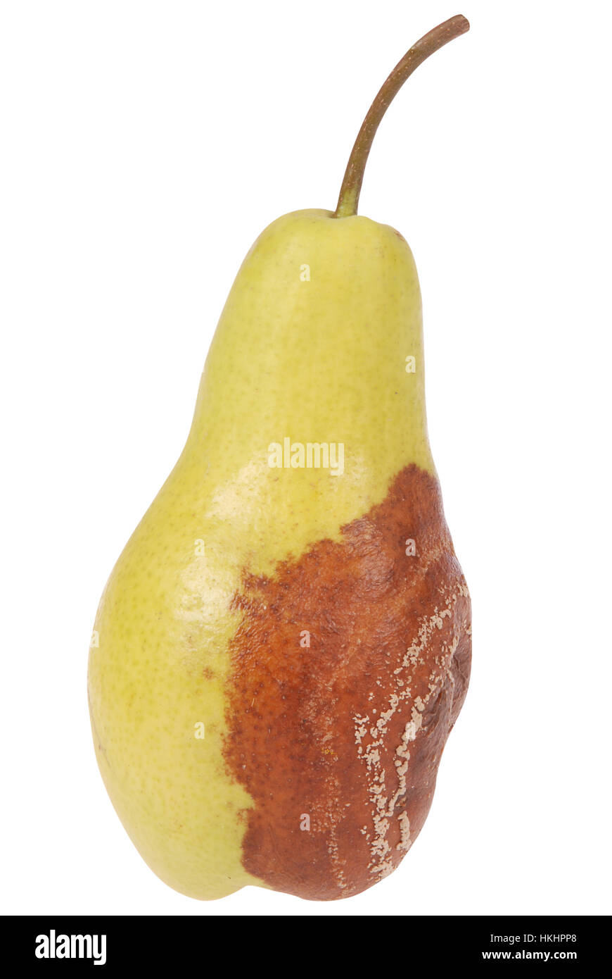 A rotten pear on a white background. Clipping path included Stock Photo