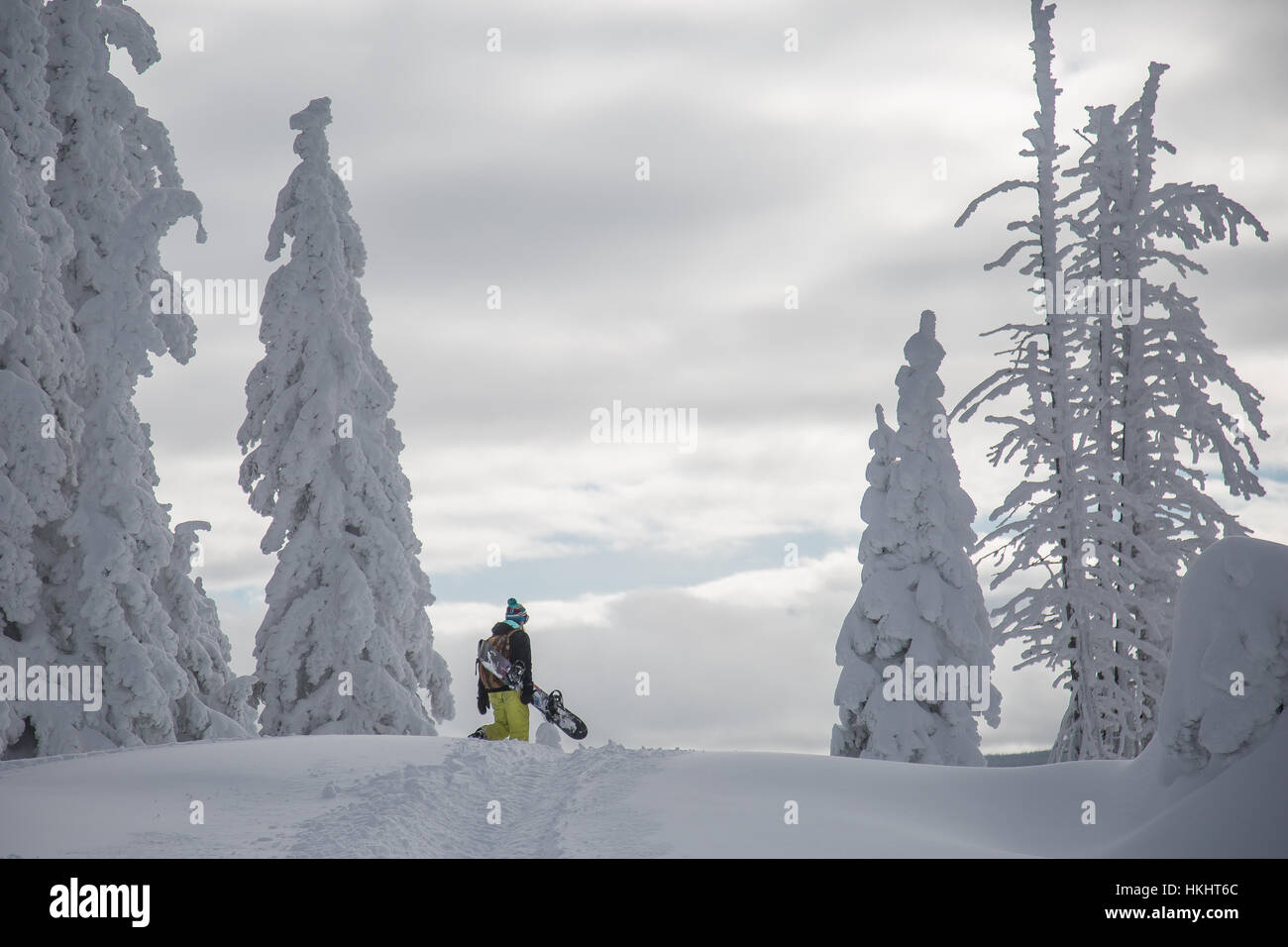 backcountry skiing in steamboat springs, colorado Stock Photo