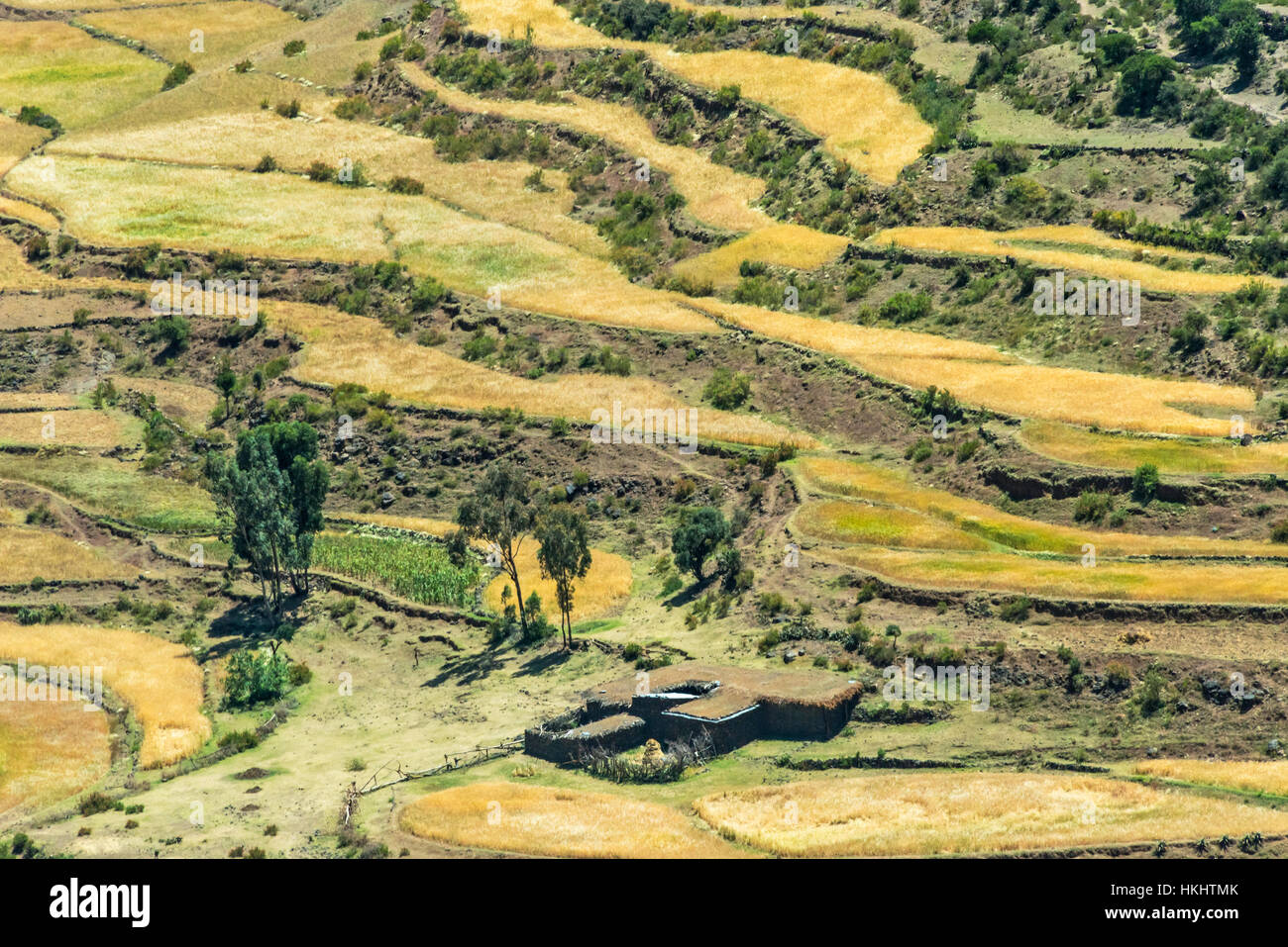 Terraced farmland in the mountain, Tigray Region, Ethiopia Stock Photo