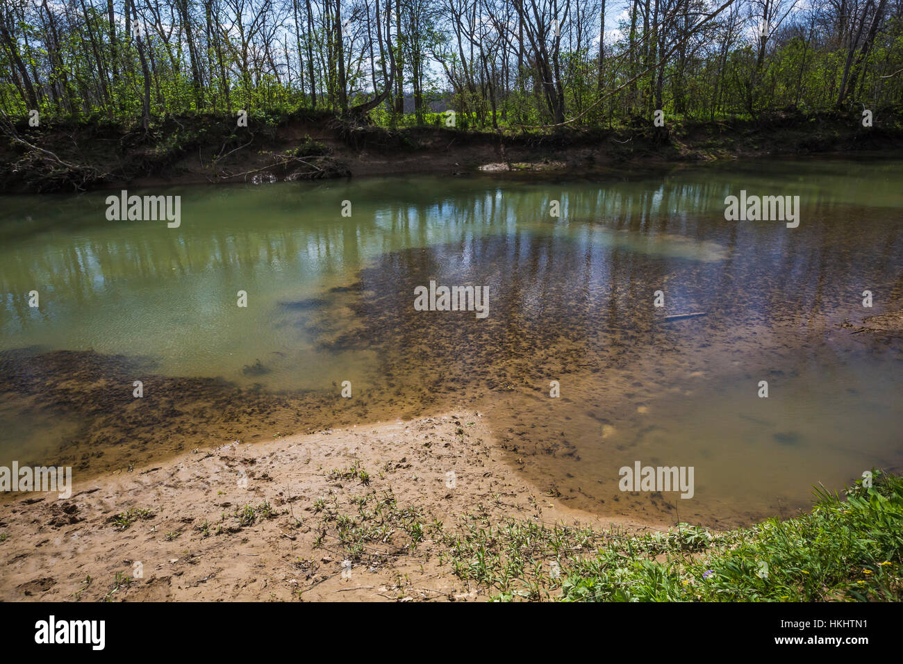 Brush Creek At Serpent Mound State Memorial In Adams County Ohio Usa Stock Photo Alamy
