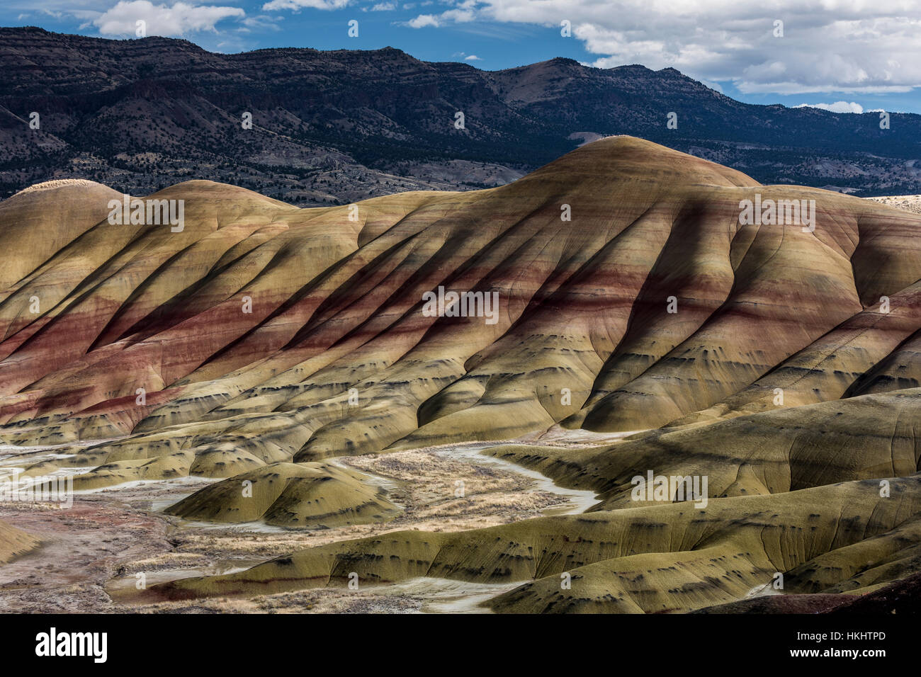 Spectacularly colored deposits of the lower John Day Formation in the