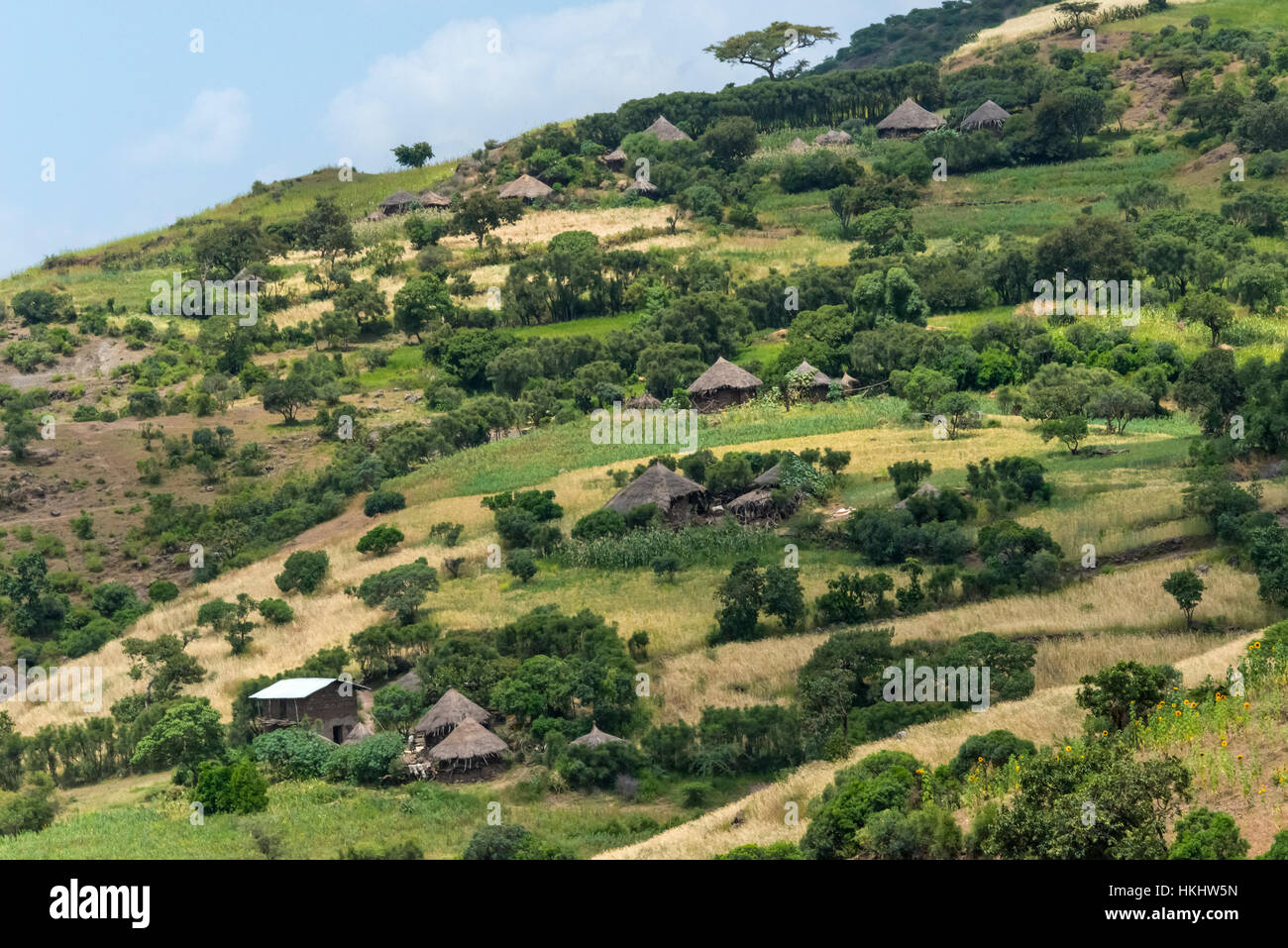Traditional house with thatched roof and farmland in the mountain