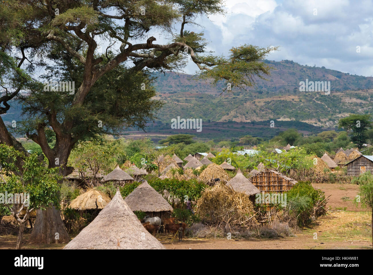 Traditional houses with thatched roof in the village, Konso, Ethiopia Stock Photo