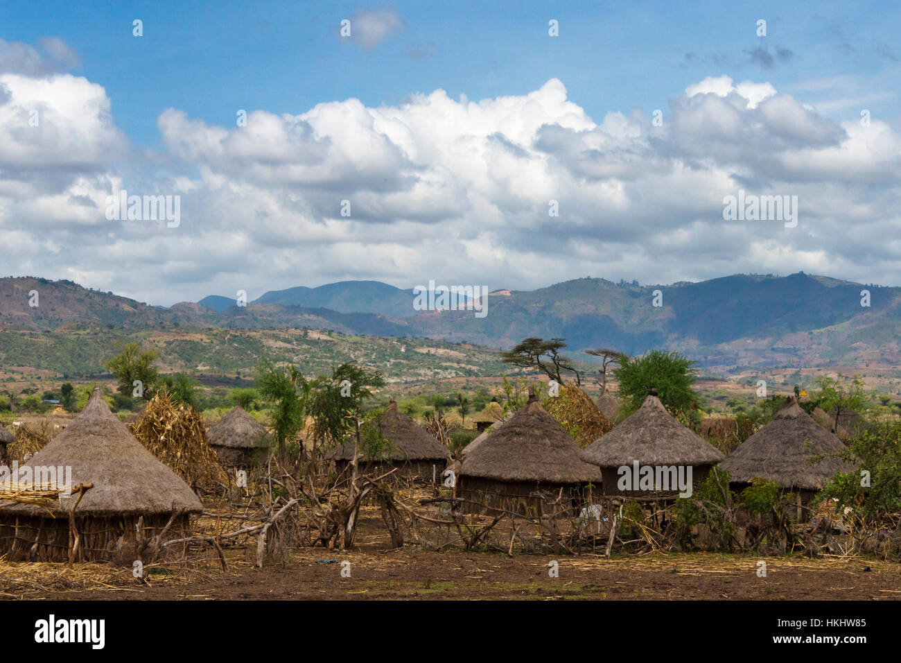 Traditional houses with thatched roof, Konso, Ethiopia Stock Photo