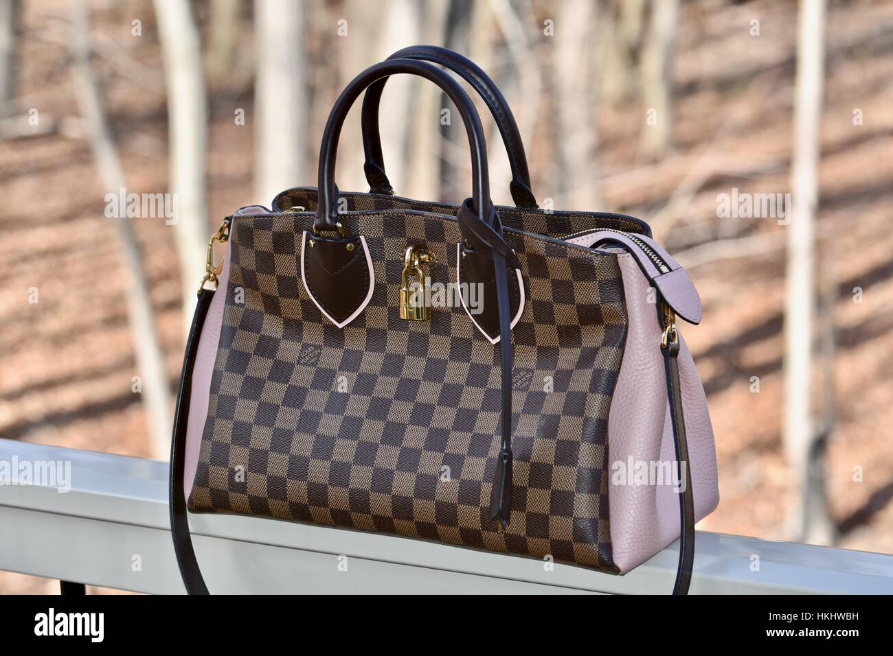 Louis Vuitton handbag overlooking a wooded forest Stock Photo