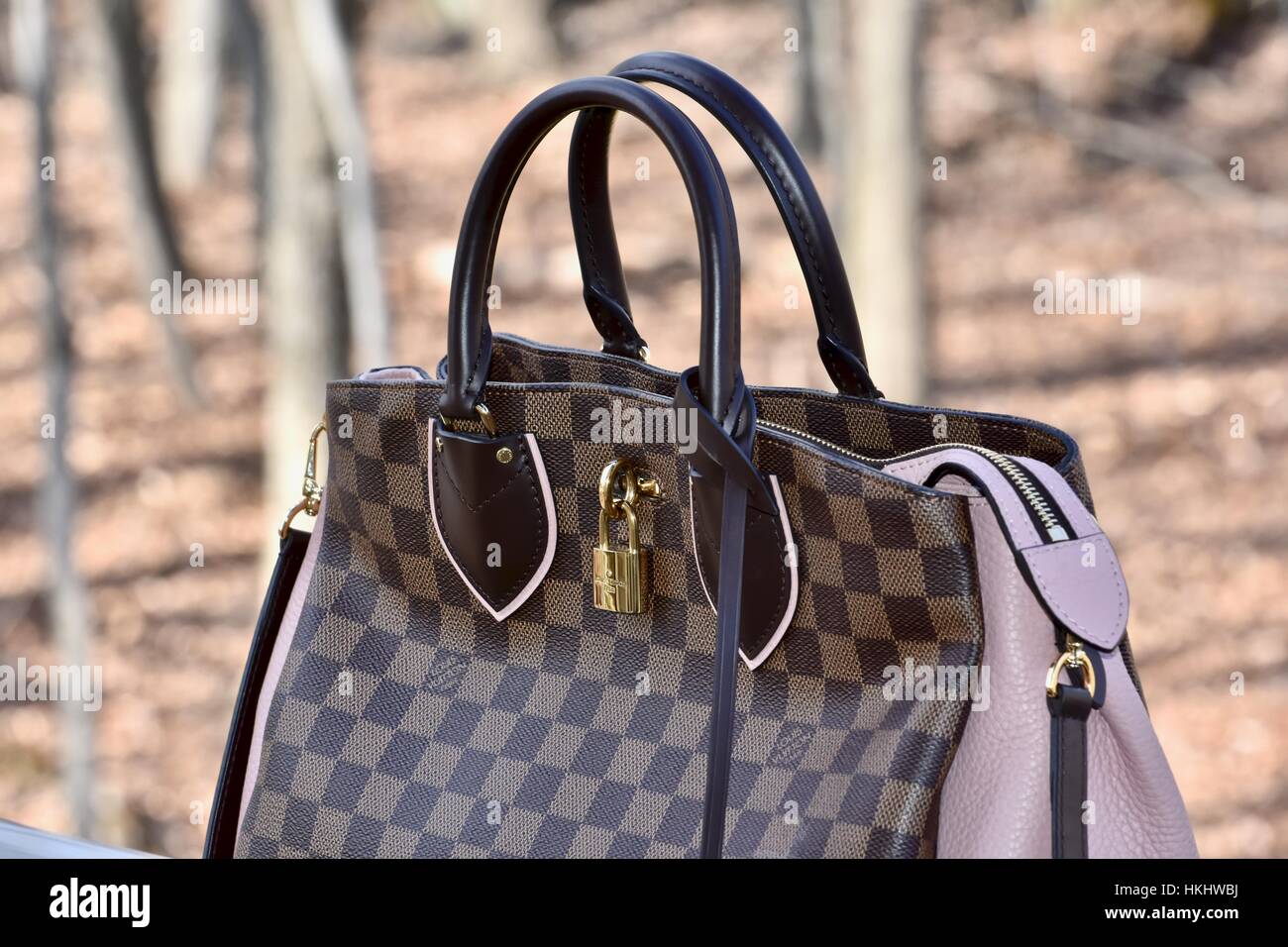 Carrying his louis vuitton travel bag hi-res stock photography and images -  Alamy
