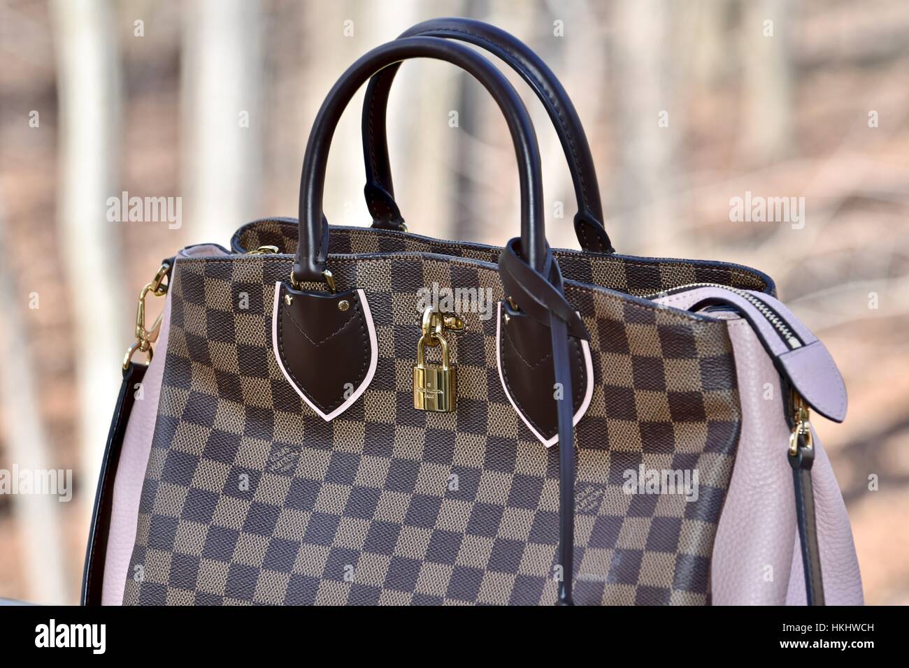 61,570 Louis Vuitton Bag Stock Photos, High-Res Pictures, and