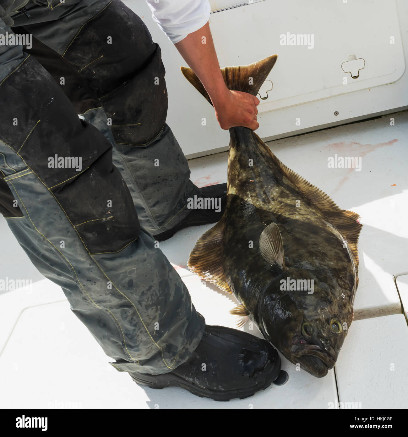 Fisherman holds a halibut by the tail on a fishing boat; Queen