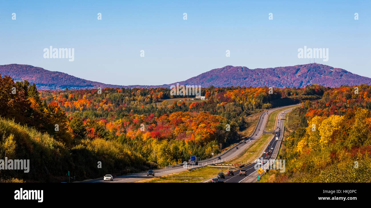 Autumn coloured forest along Autoroute 10, Eastern townships; South Stukely, Quebec, Canada