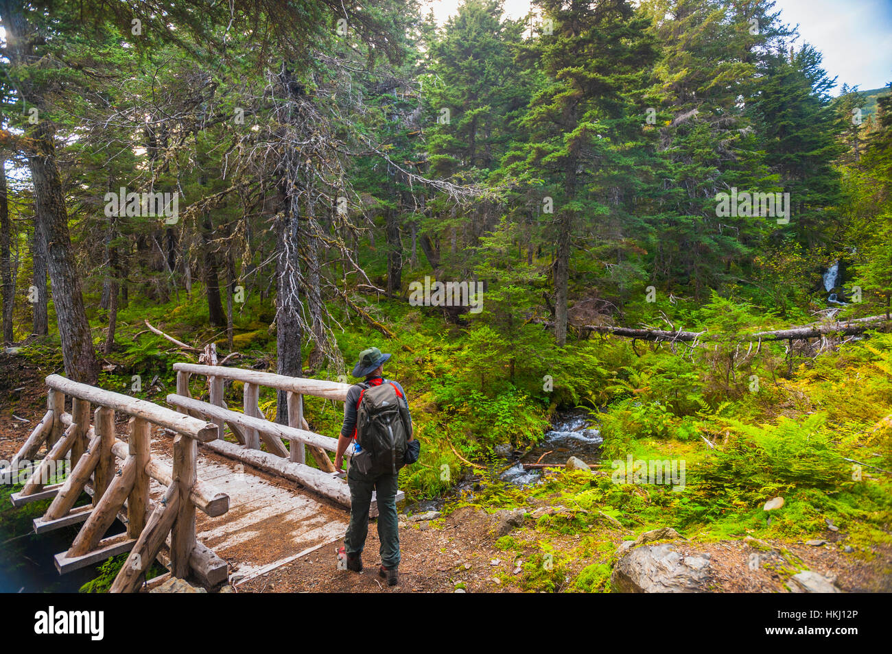 A man hiking across a log bridge on the Turnagain Pass Trail in the Chugach National Forest, South-central Alaska on a summer day Stock Photo