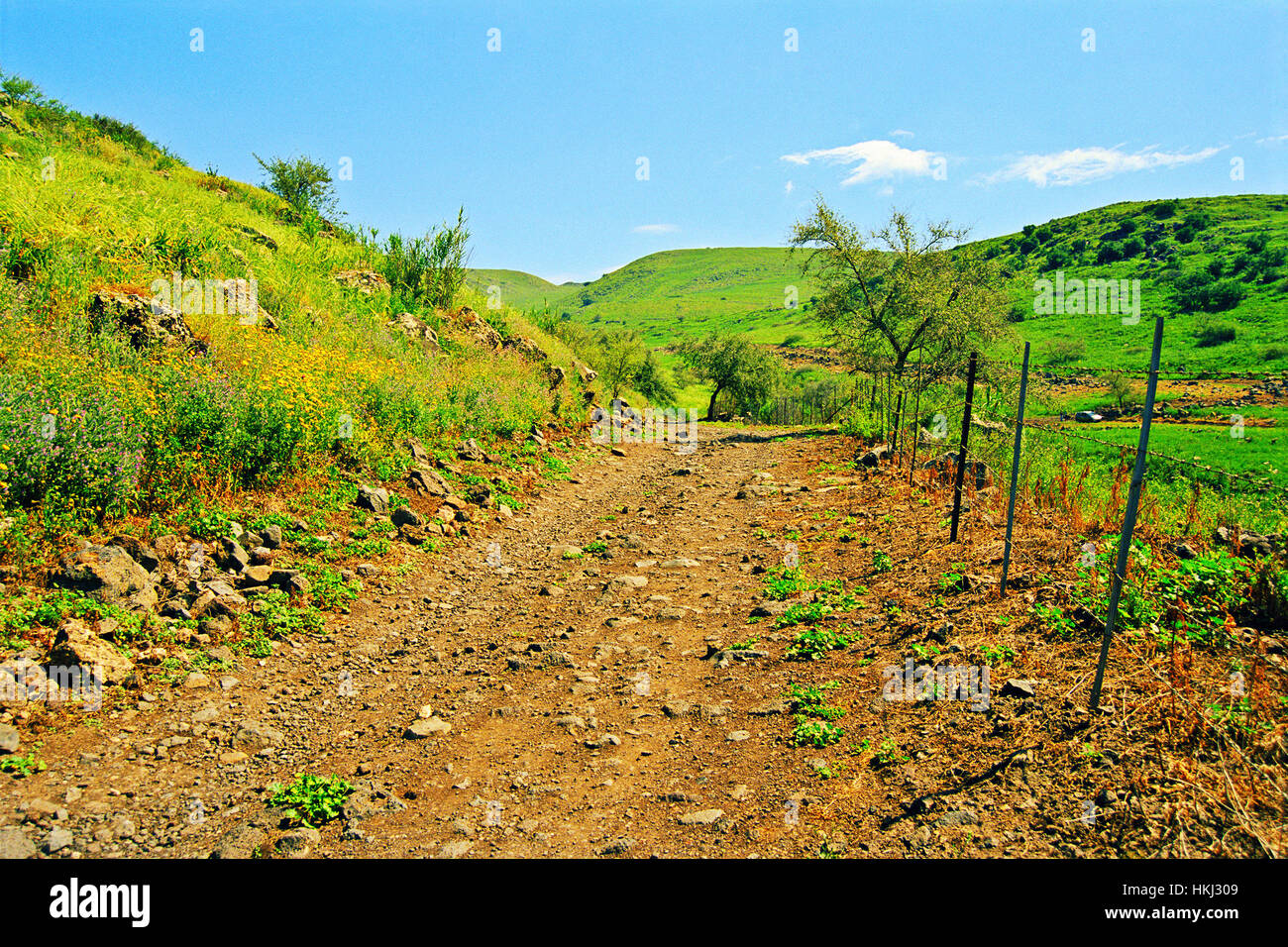 The dirt road Stock Photo Alamy