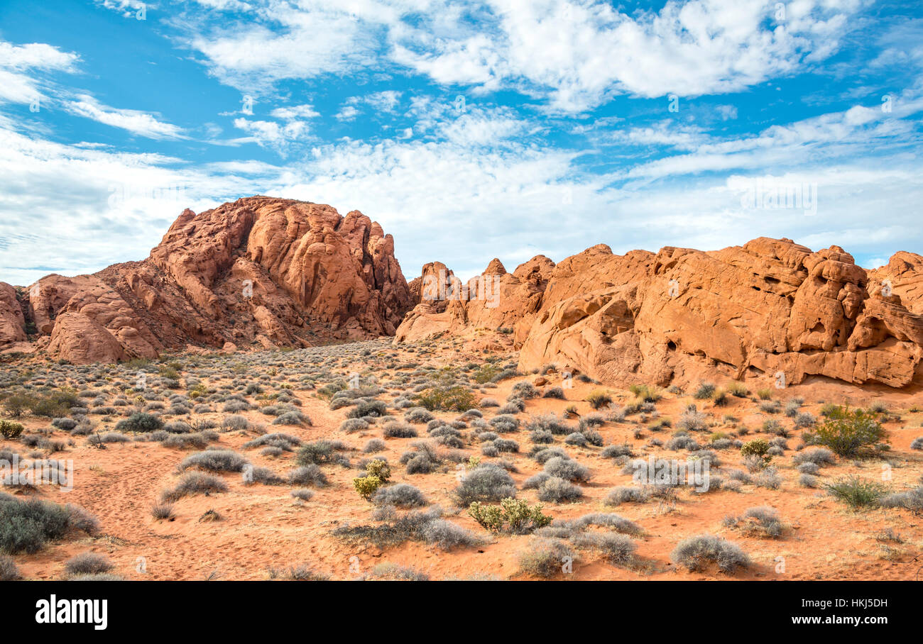 Rainbow Vista, red sandstone rocks, Mojave Desert, Valley of Fire, Nevada, USA Stock Photo