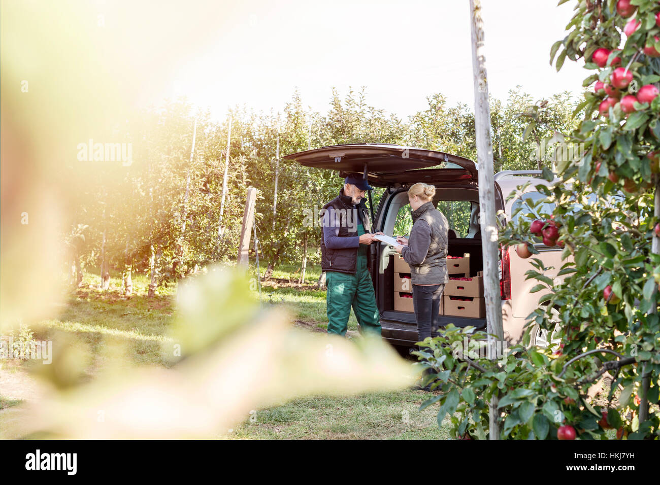 Farmer and customer at back of van in apple orchard Stock Photo