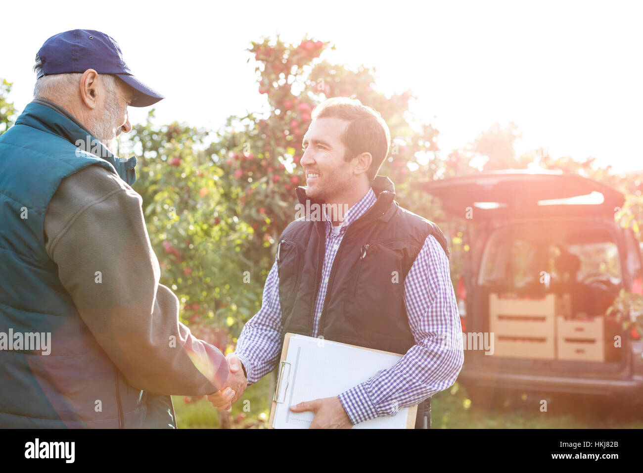 Male farmer and customer handshaking in sunny apple orchard Stock Photo
