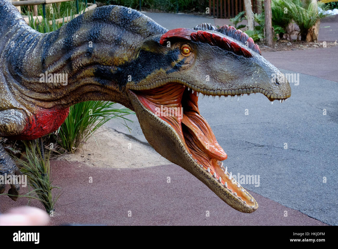 Dinosaur - Australia Zoo Stock Photo - Alamy