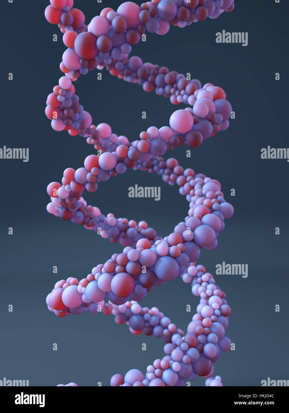 Egg cell structure hi-res stock photography and images - Alamy