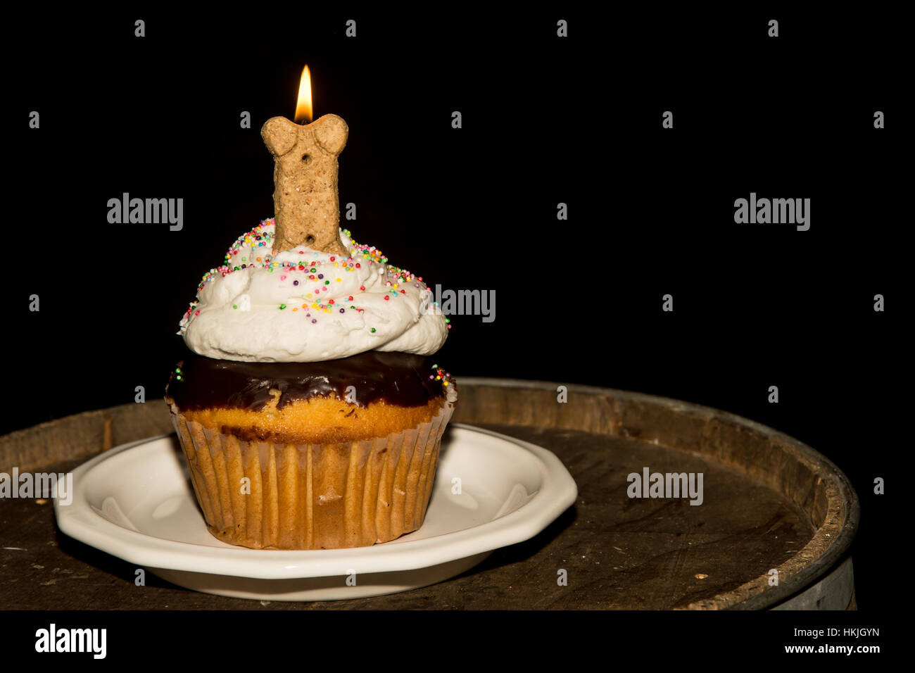 A birthday cupcake for the pet dog. Stock Photo