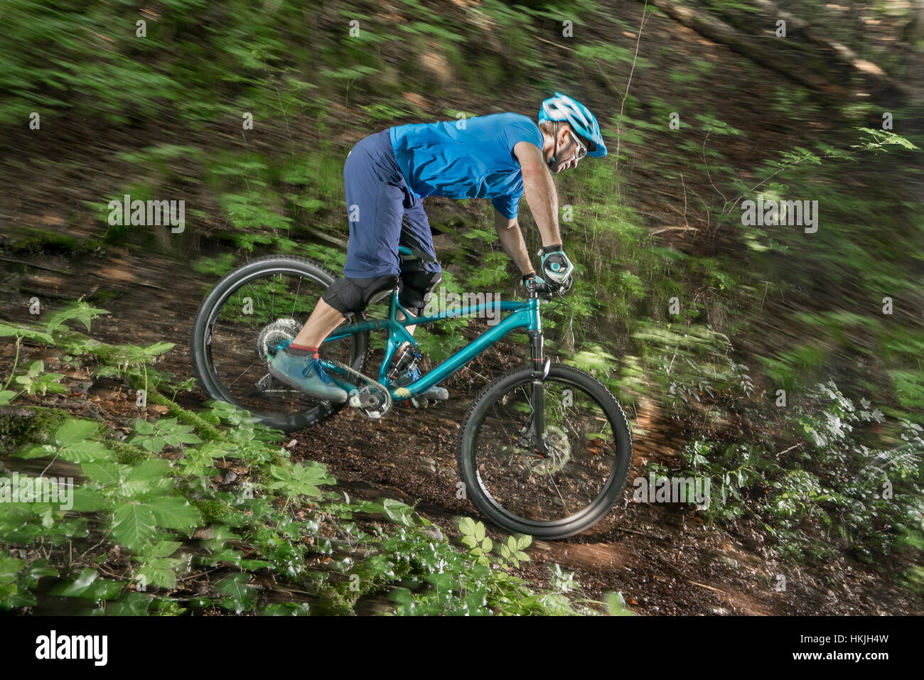 Mountain biker riding downhill in forest, Bavaria, Germany Stock Photo