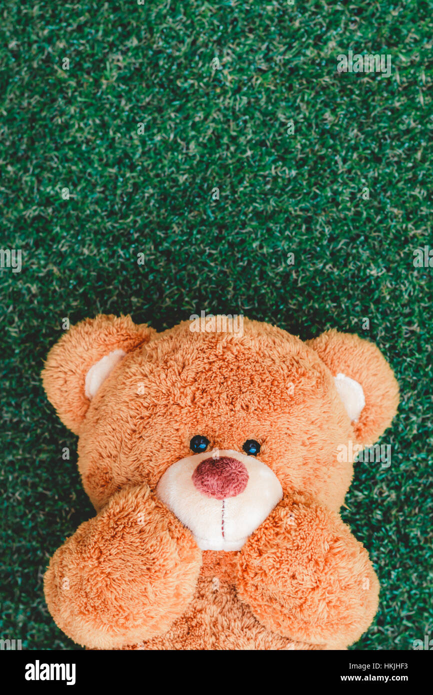 Cute teddy bear on green grass background Stock Photo - Alamy