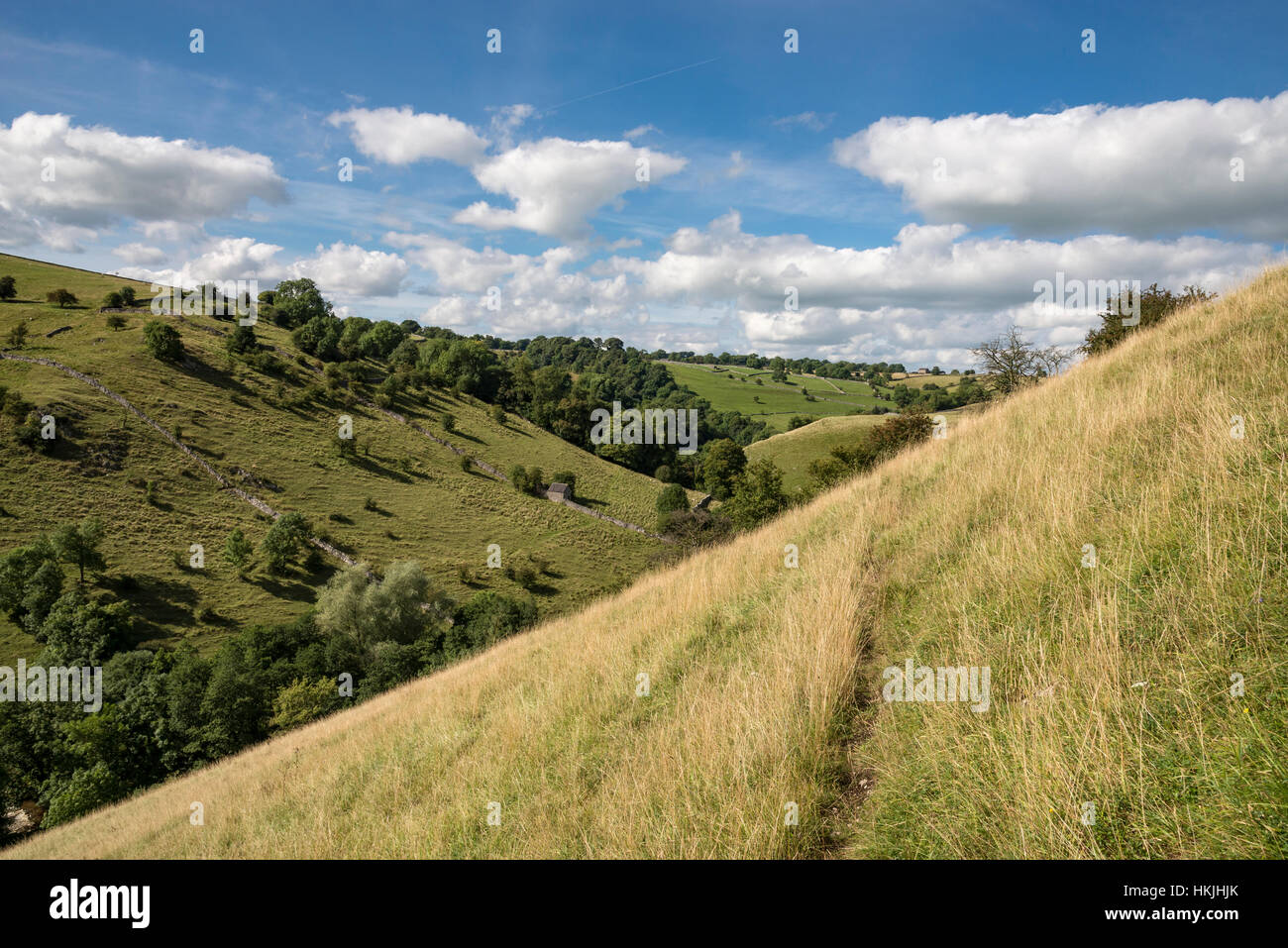 Grassy hillside above Dovedale in the Peak District national park on a sunny summer day. Stock Photo