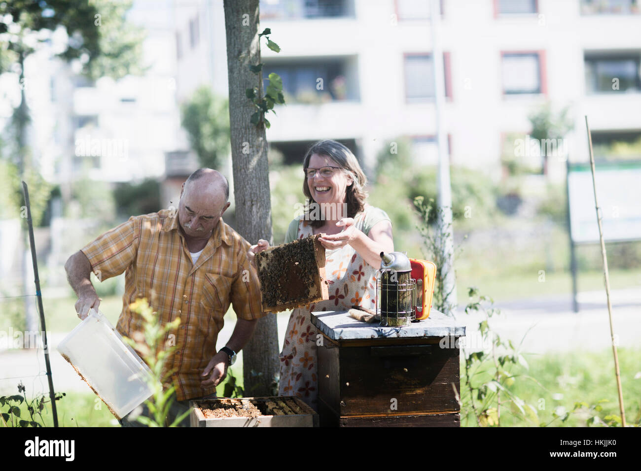 Beekeepers looking at honeycomb, Freiburg im Breisgau, Baden-Württemberg, Germany Stock Photo