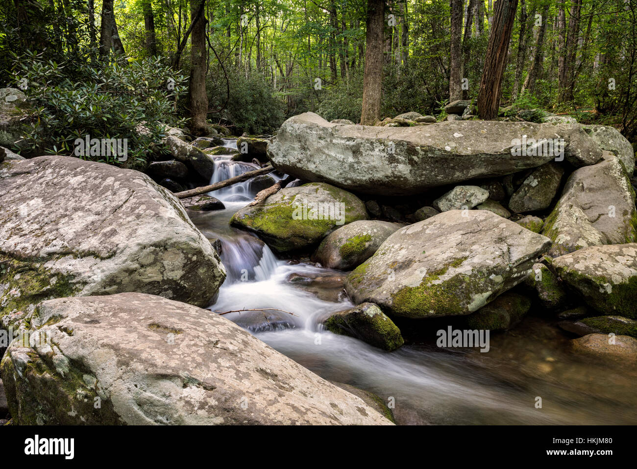 Summer along the Roaring Fork River in Great Smoky Mountains National