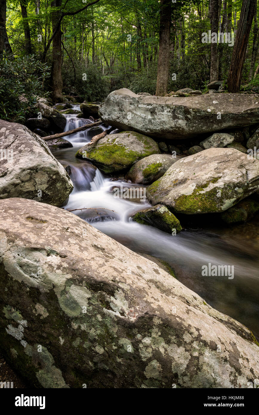Summer along the Roaring Fork River in Great Smoky Mountains National