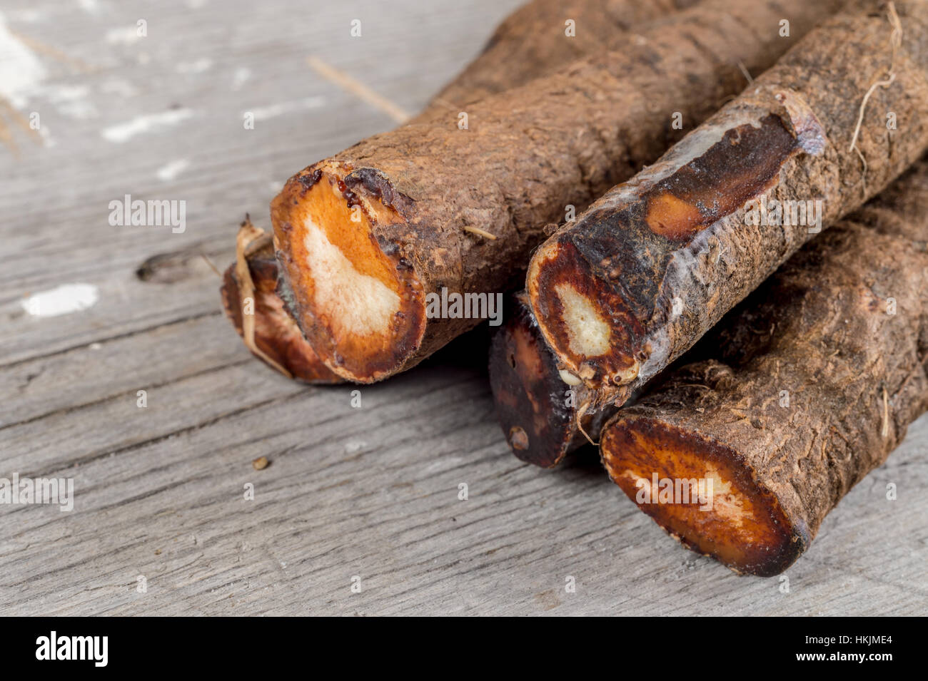 Scorzonera roots black salsify scorzonera hi-res stock photography and ...