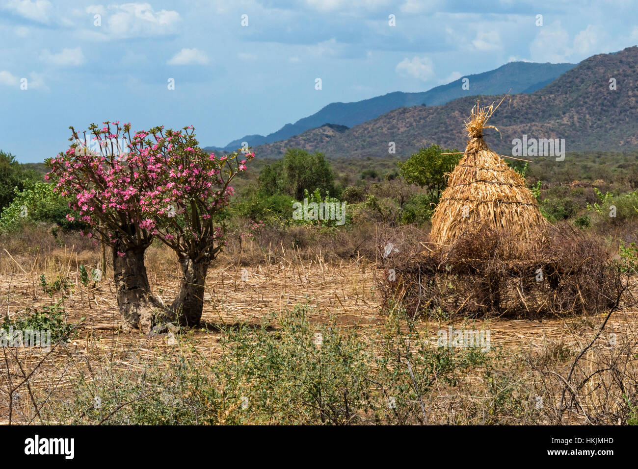 Sand roses and straw bundle in the mountain, Konso, Ethiopia Stock Photo
