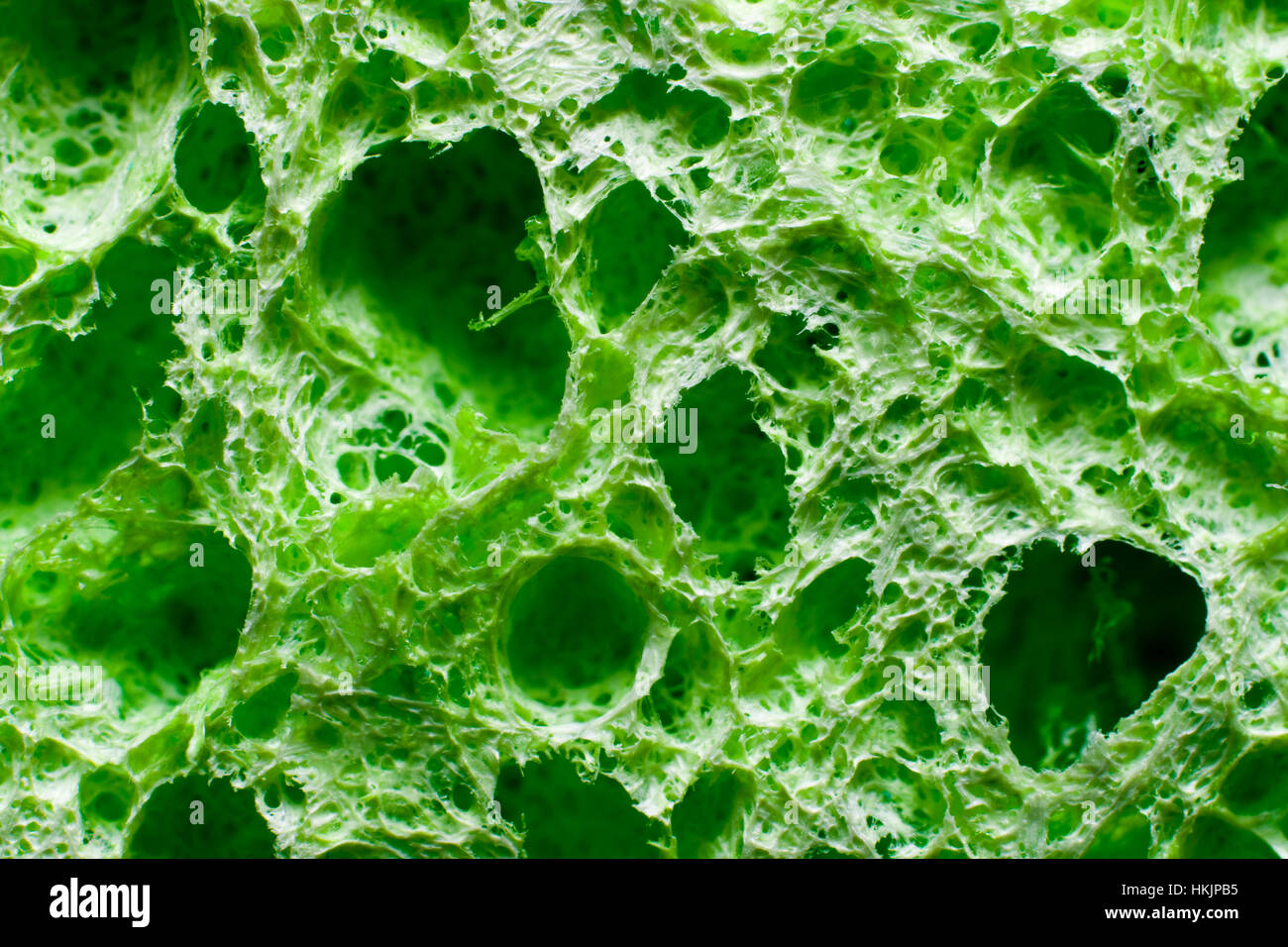 Green sponge close up macro Stock Photo