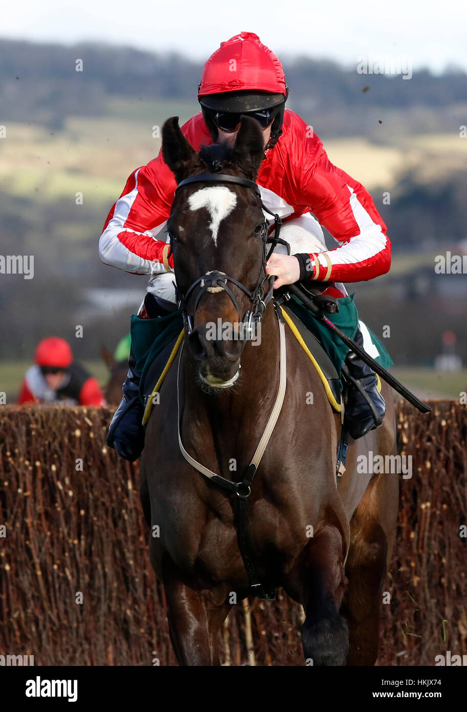 Foxtail Hill ridden by Jamie Bargary leads the field over the last fence before going on to win The Hugo's Restaurant Barbados Handicap Steeple Chase Race run during Festival Trials Day at Cheltenham Racecourse. Stock Photo