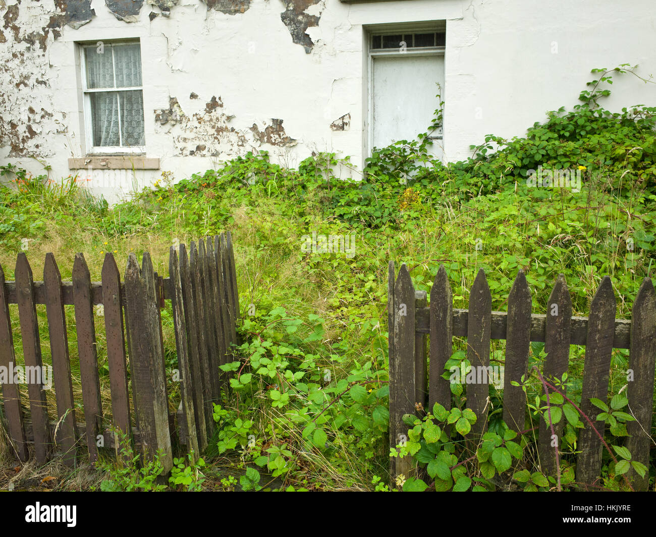 Overgrown Garden unkempt UK Empty deserted property house Stock Photo