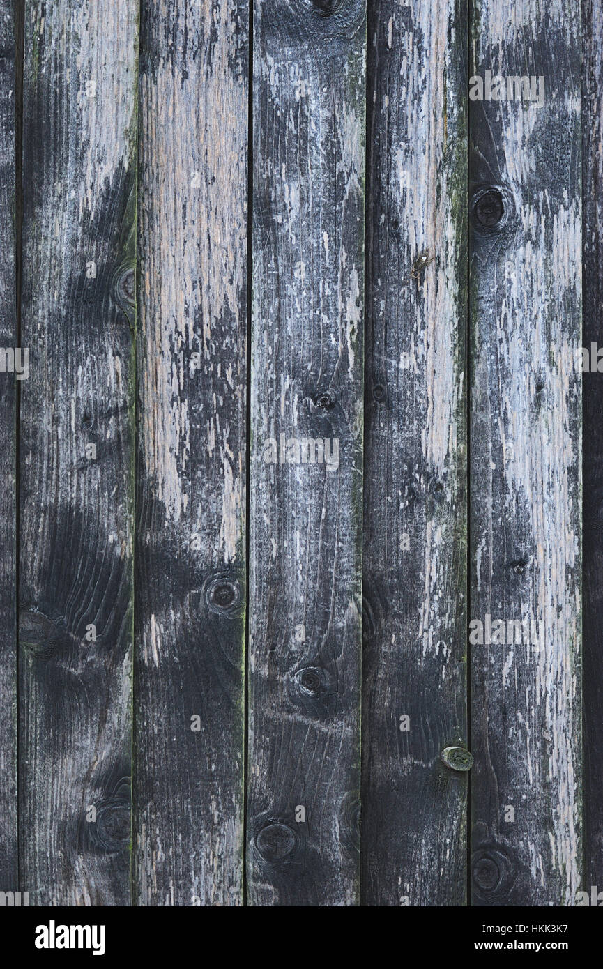 Texture of gray and green plank wood Stock Photo