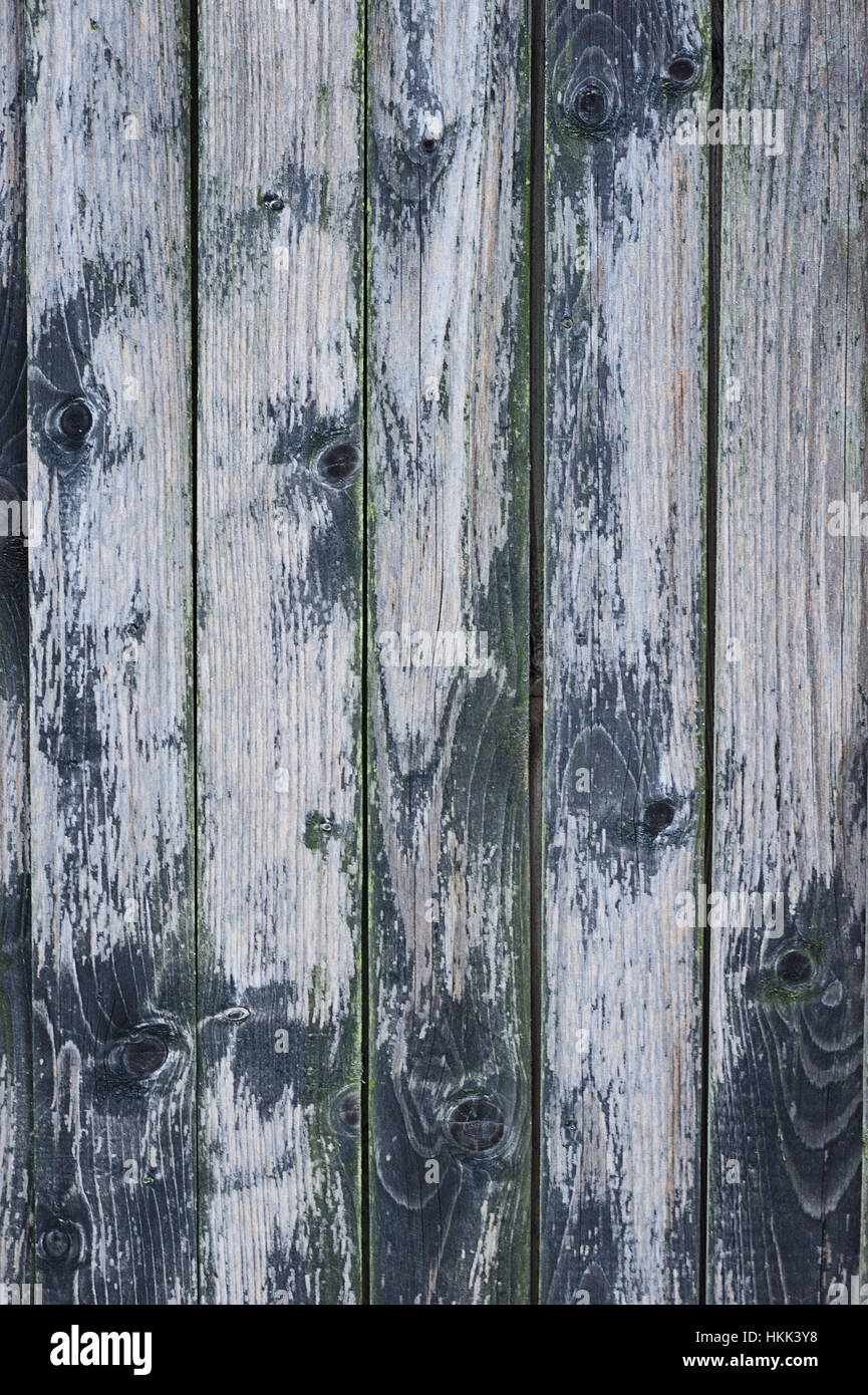 Old gray and green wood plank texture Stock Photo