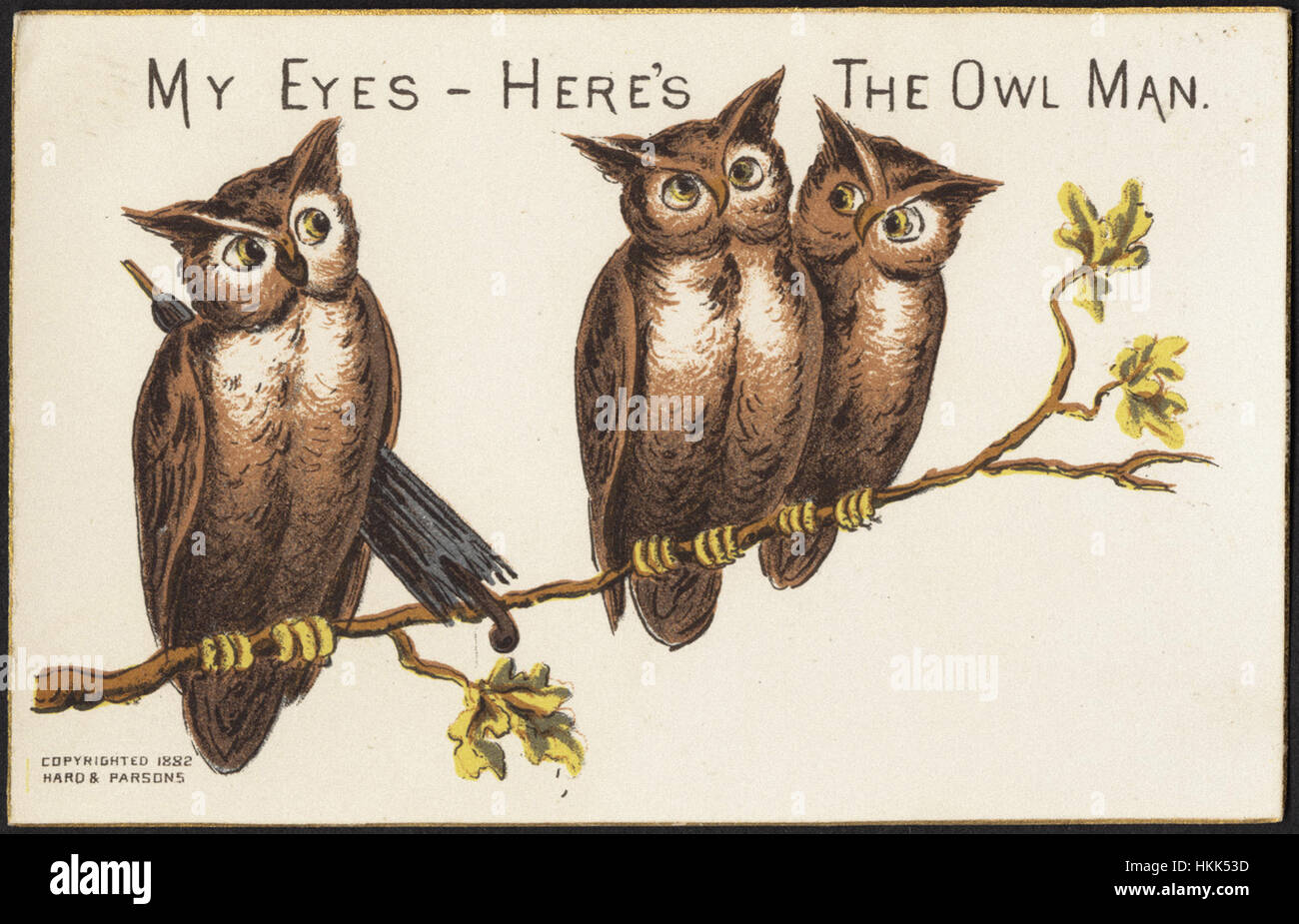 What Is The Significance Of The Owl Eyed Man Michalski Blog