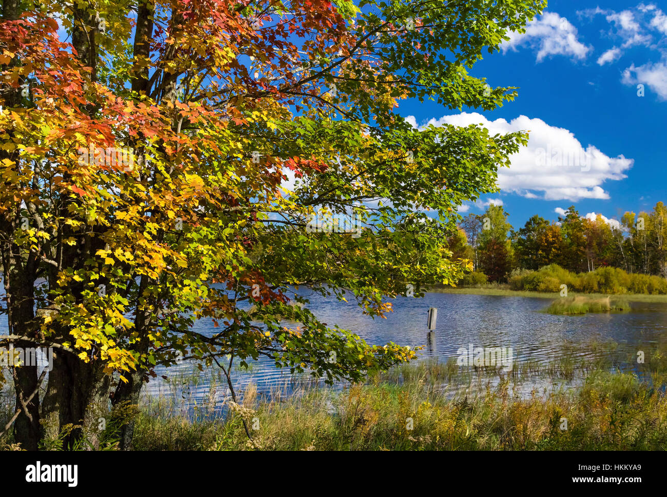 Autumn in northern Wisconsin Stock Photo - Alamy