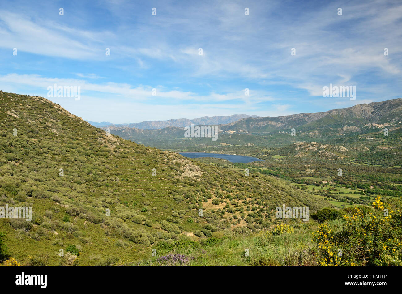 Balagne is also called the garden of Corsica. In the foreground there is a flat hill covered with maguis. There are a fertile plain with fields and re Stock Photo