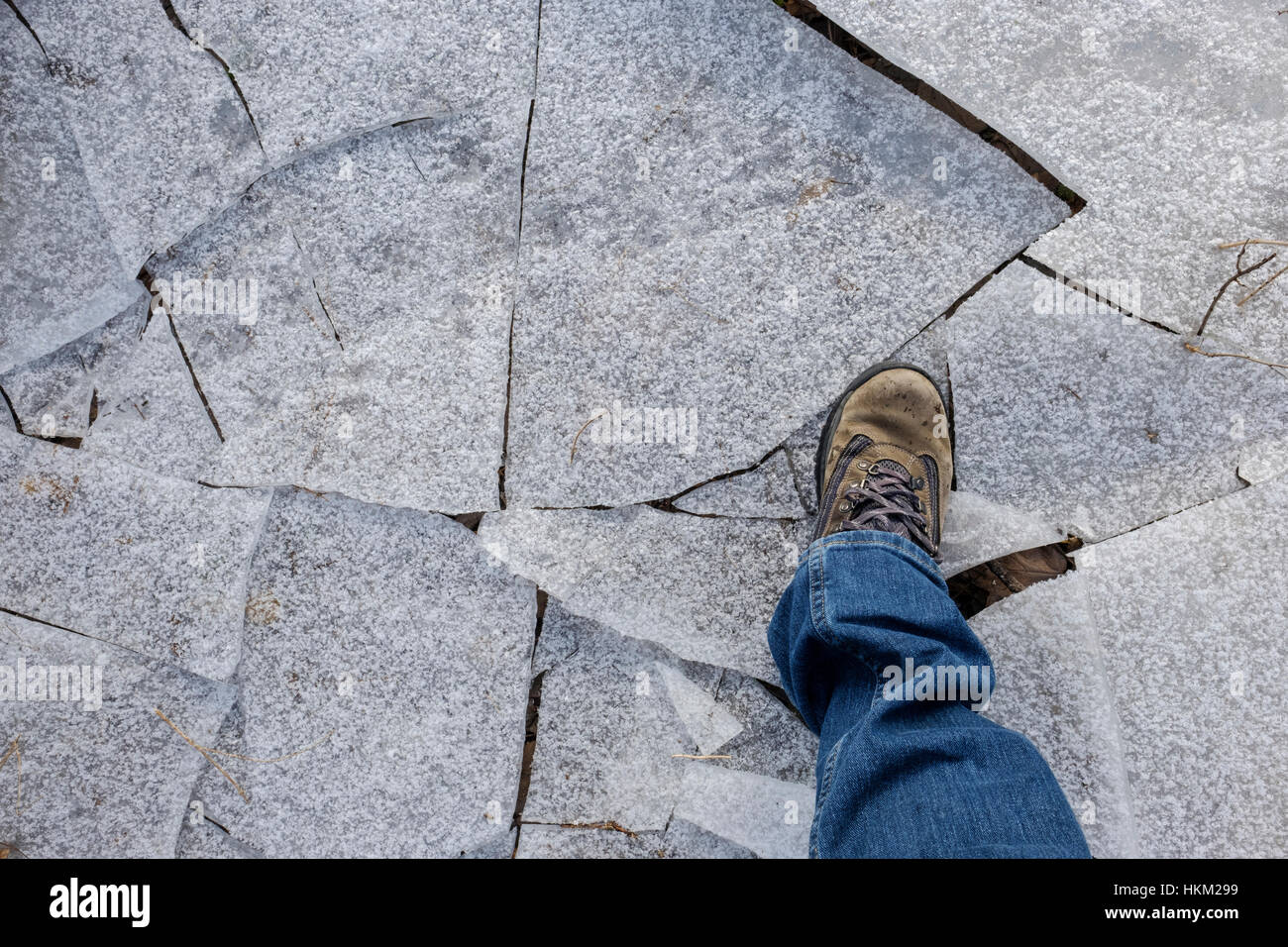 Climate change, climate crisis, male foot wearing a boot steps on thin cracked ice in a trail in winter. Stock Photo